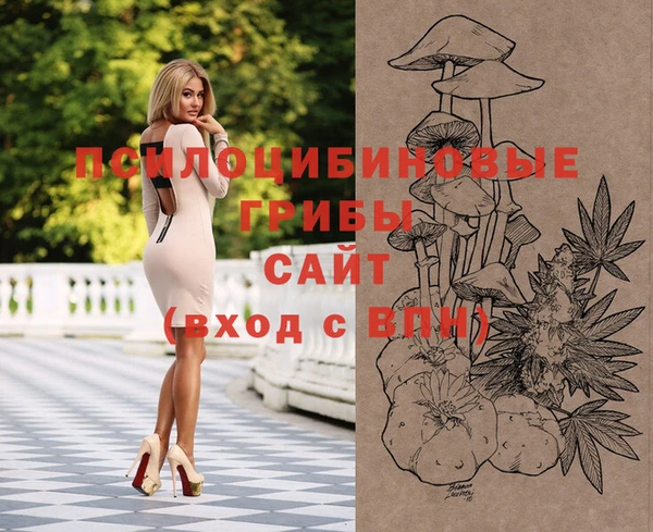 индика Магадан
