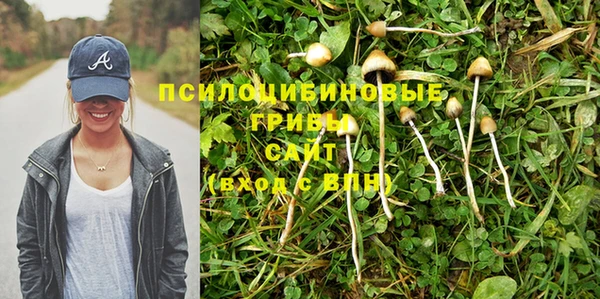 прущая мука Магас