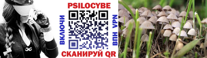 Псилоцибиновые грибы Psilocybine cubensis  Купить где  Лесозаводск 